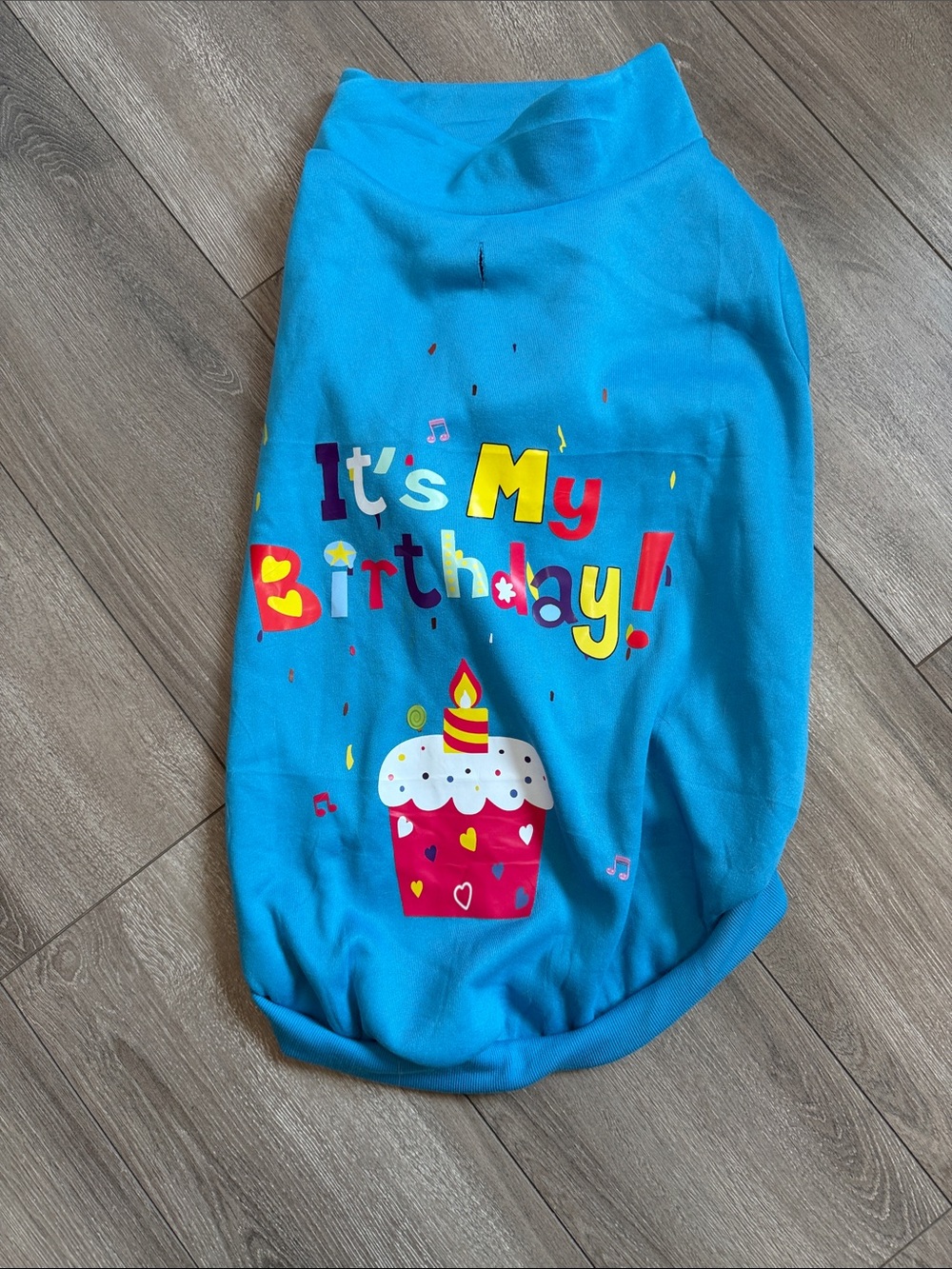 Blue "It's My Birthday" Dog Shirt - Bright Celebration Tee